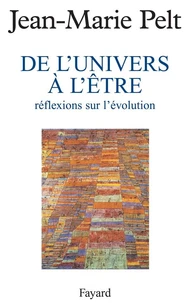 De l'univers à l'âtre