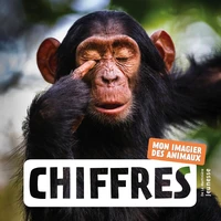Chiffres