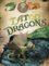 Tatoo dragons