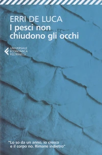 I pesci non chiudono gli occhi