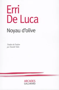Noyau d'olive