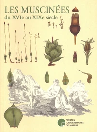 Les muscinées du XVIe au XIXe siècle