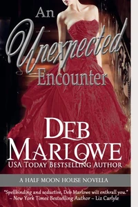 An Unexpected Encounter ( Half Moon House, Novella 1)