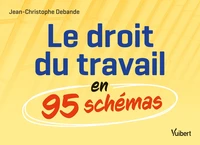 Le droit du travail en 95 schémas
