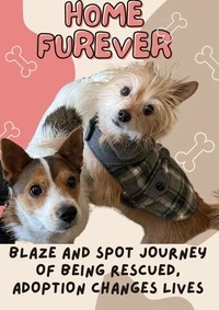 Home Furever