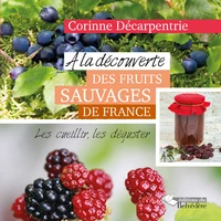 A la découverte des fruits sauvages de France