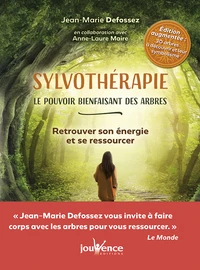 Sylvothérapie, le pouvoir bienfaisant des arbres