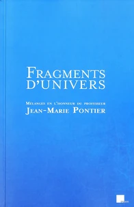 Fragments d'univers