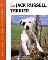 Le jack russel-terrier