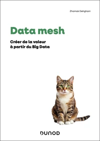 Data mesh