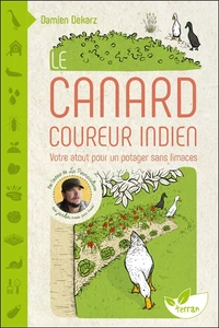 Le canard coureur indien