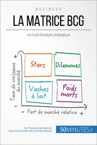 La matrice BCG et les décisions managériales
