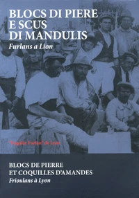 Blocs de pierre et coquilles d'amandes