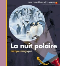 La nuit polaire