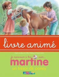 Un trésor de poney