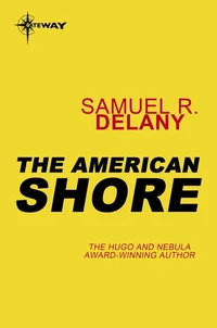 The American Shore
