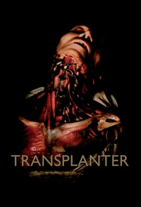 Transplanter
