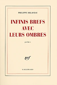 Infinis Brefs Avec Leurs Ombres