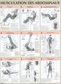 Musculation des abdominaux