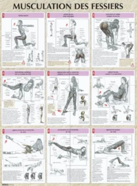 Musculation des fessiers