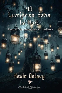 40 Lumières dans la nuit