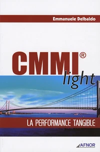 CMMI light