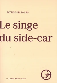 Le singe du side-car