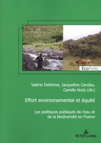 Effort environnemental et équité