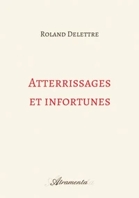 Atterrissages et infortunes