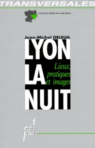 Lyon La Nuit. Lieux, Pratiques Et Images