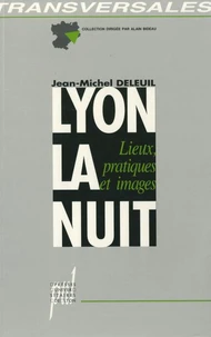 Lyon La Nuit. Lieux, Pratiques Et Images