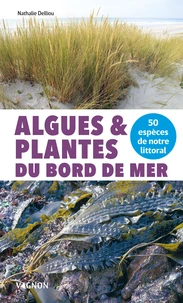 Algues & plantes du bord de mer