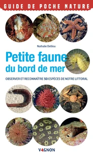 Petite faune du bord de mer