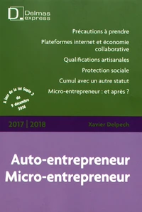 Auto-entrepreneur, Micro-entrepreneur
