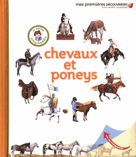 Delphine Badreddine - Chevaux et poneys.