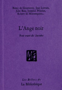 Delphine Durand et Jean-David Jumeau-Lafond - L'Ange noir - Petit traité des Succubes.