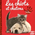 Delphine Lacharron - Les chiots et chatons.
