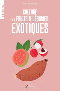Culture de fruits et légumes exotiques
