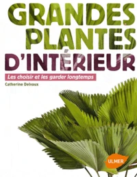 Grandes plantes d'intérieur