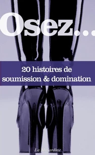 20 histoires de soumission & domination