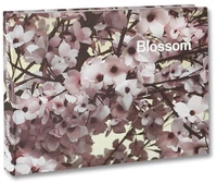 Thomas Demand : blossom
