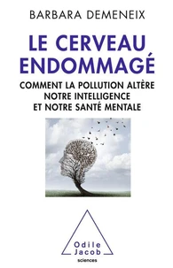 Le cerveau endommagé
