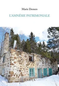 L'amnesie patrimoniale