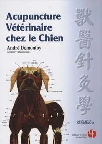 Acupuncture vétérinaire chez le chien