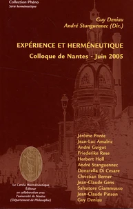 Expérience et herméneutique