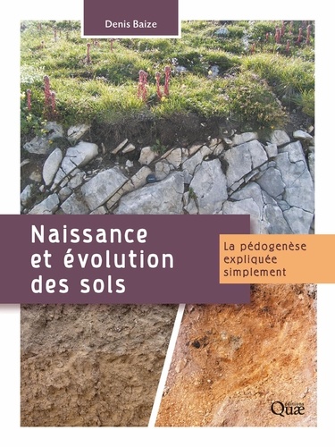 Naissance et évolution des sols. La pédogenèse expliquée simplement