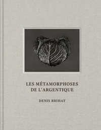 Denis Brihat - Les Métamorphoses de l'argentique.