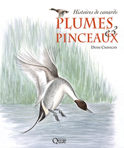 Denis Chavigny - Plumes & pinceaux - Histoires de canards.