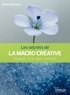 Denis Dubesset - Les secrets de la macro créative - Techniques - composition - esthétique.