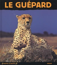 Le Guepard